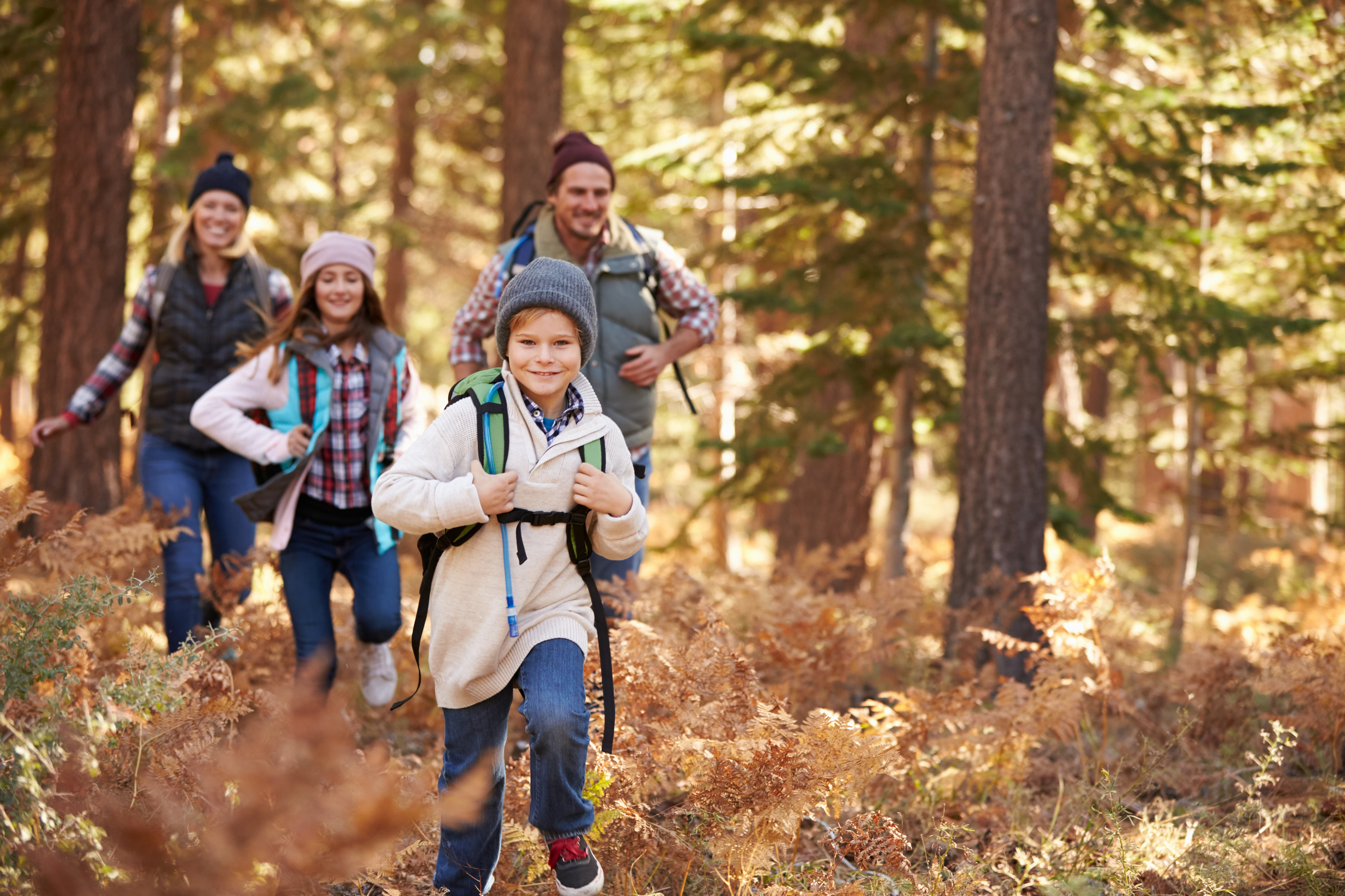 Проводи больше времени с семьей. Прогулка в лесу. Пешие прогулки на природе. Прогулка на природе. Экскурсия на природу.